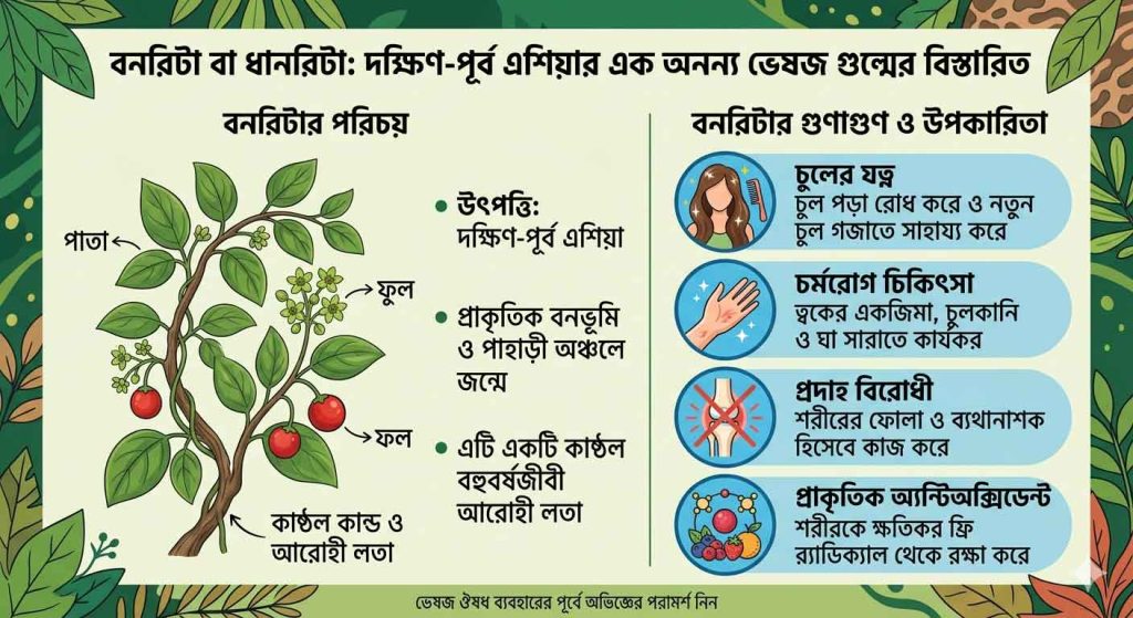 বনরিটা-গাছের গুণাগুণ