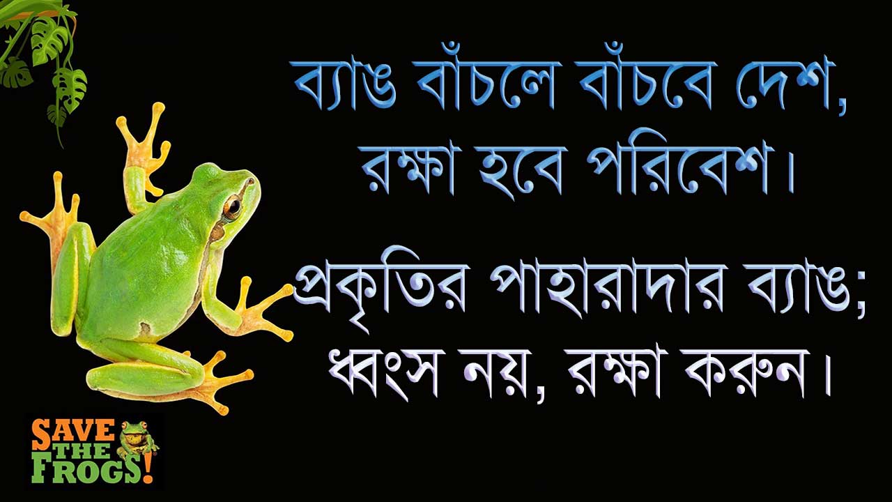 ব্যাঙ